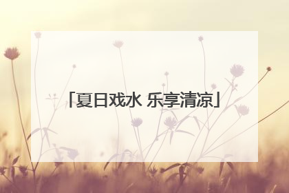 夏日戏水 乐享清凉