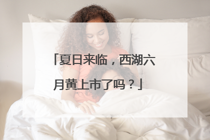夏日来临，西湖六月黄上市了吗？