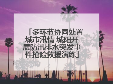 多环节协同处置城市汛情 城阳开展防汛排水突发事件抢险救援演练