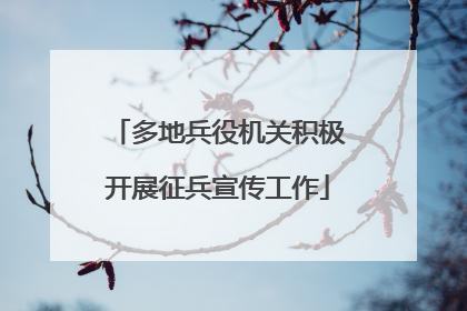 多地兵役机关积极开展征兵宣传工作