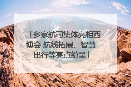 多家航司集体亮相西博会 航线拓展、智慧出行等亮点纷呈