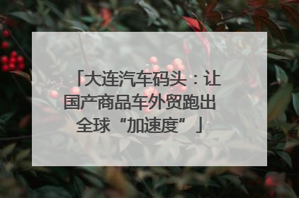 大连汽车码头：让国产商品车外贸跑出全球“加速度”