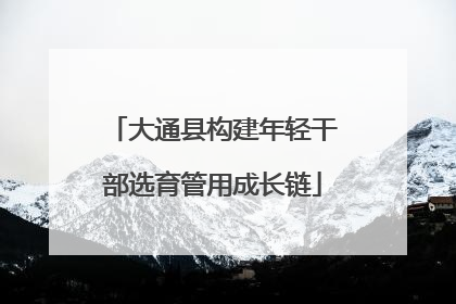 大通县构建年轻干部选育管用成长链