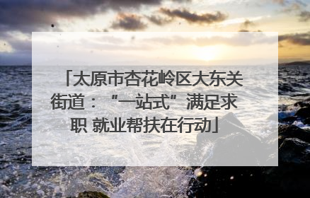 太原市杏花岭区大东关街道：“一站式”满足求职 就业帮扶在行动