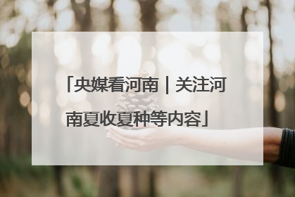 央媒看河南｜关注河南夏收夏种等内容