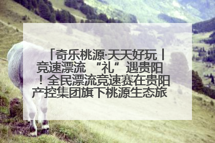 奇乐桃源·天天好玩丨竞速漂流 “礼”遇贵阳！全民漂流竞速赛在贵阳产控集团旗下桃源生态旅游度假区举行