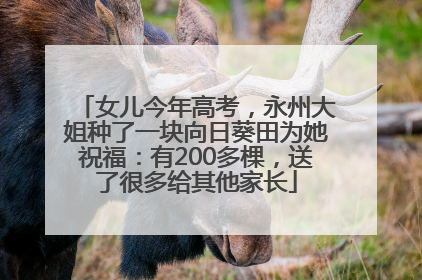 女儿今年高考，永州大姐种了一块向日葵田为她祝福：有200多棵，送了很多给其他家长