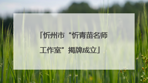 忻州市“忻青苗名师工作室”揭牌成立