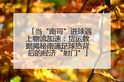 当“南哥”进球遇上物流加速：货运数据揭秘南通足球热背后的经济“射门”