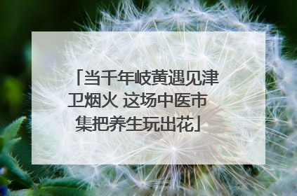 当千年岐黄遇见津卫烟火 这场中医市集把养生玩出花