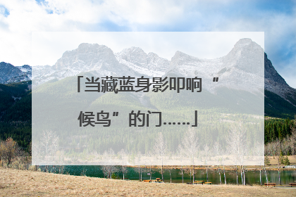 当藏蓝身影叩响“候鸟”的门……