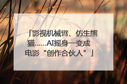 影视机械臂、仿生熊猫……AI摇身一变成电影“创作合伙人”