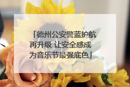 德州公安警蓝护航再升级 让安全感成为音乐节最强底色