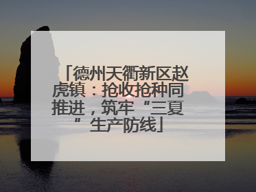 德州天衢新区赵虎镇：抢收抢种同推进，筑牢“三夏”生产防线