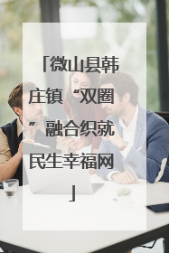 微山县韩庄镇“双圈”融合织就民生幸福网