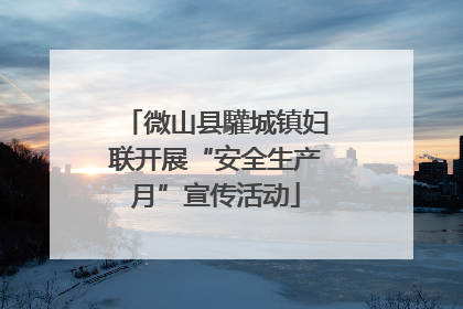 微山县驩城镇妇联开展“安全生产月”宣传活动
