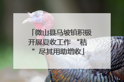 微山县马坡镇积极开展夏收工作 “秸”尽其用助增收