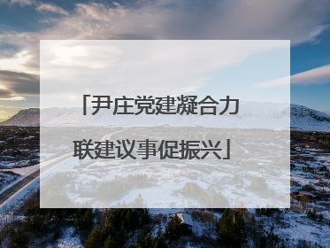 尹庄党建凝合力 联建议事促振兴