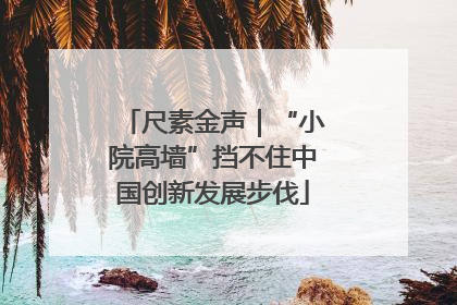 尺素金声｜“小院高墙”挡不住中国创新发展步伐