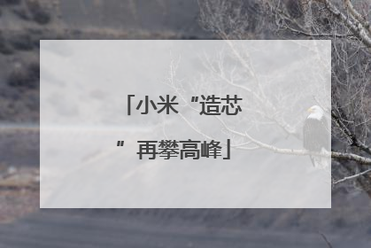 小米“造芯”再攀高峰