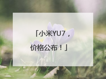 小米YU7，价格公布！