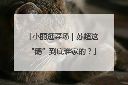 小丽逛菜场｜苏超这“鹅”到底谁家的？