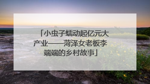 小虫子蠕动起亿元大产业——菏泽女老板李端端的乡村故事