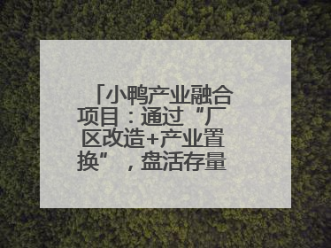 小鸭产业融合项目：通过“厂区改造+产业置换”，盘活存量，增值增效