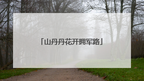 山丹丹花开拥军路