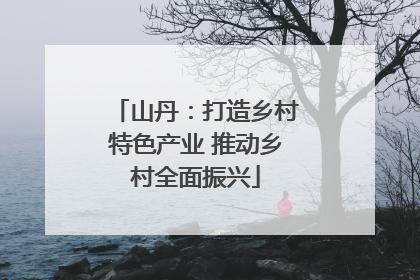 山丹：打造乡村特色产业 推动乡村全面振兴