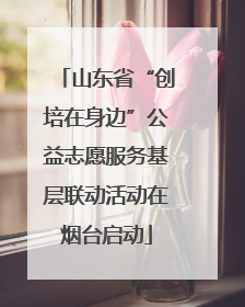 山东省“创培在身边”公益志愿服务基层联动活动在烟台启动
