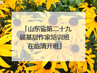 山东省第二十九届基层作家培训班在临清开班