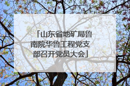 山东省地矿局鲁南院华鲁工程党支部召开党员大会