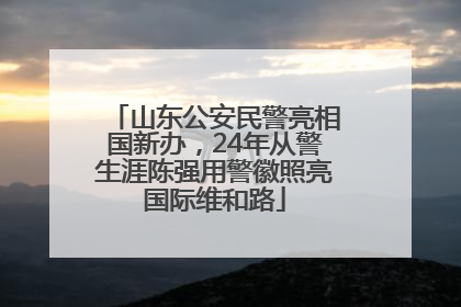 山东公安民警亮相国新办，24年从警生涯陈强用警徽照亮国际维和路