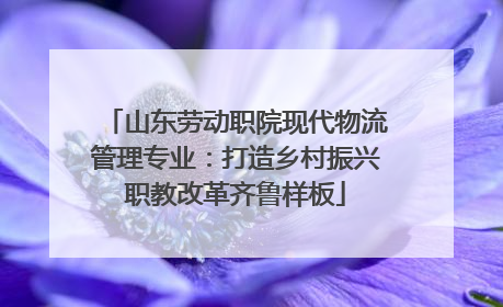 山东劳动职院现代物流管理专业：打造乡村振兴职教改革齐鲁样板