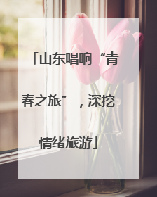 山东唱响“青春之旅”，深挖情绪旅游