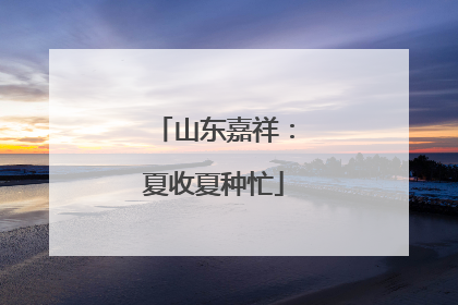 山东嘉祥：夏收夏种忙