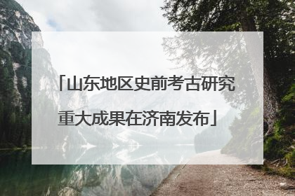 山东地区史前考古研究重大成果在济南发布