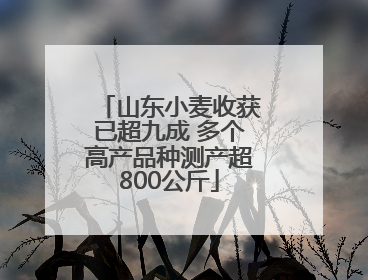 山东小麦收获已超九成 多个高产品种测产超800公斤