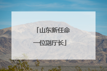 山东新任命一位副厅长