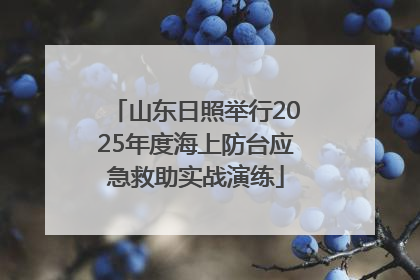 山东日照举行2025年度海上防台应急救助实战演练