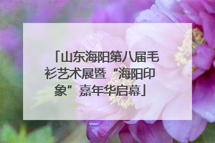 山东海阳第八届毛衫艺术展暨“海阳印象”嘉年华启幕
