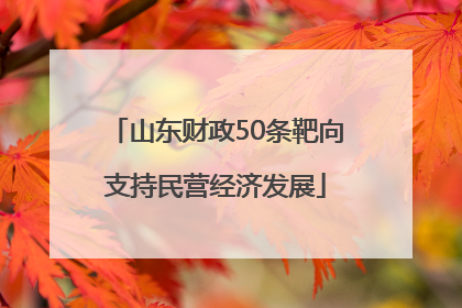 山东财政50条靶向支持民营经济发展