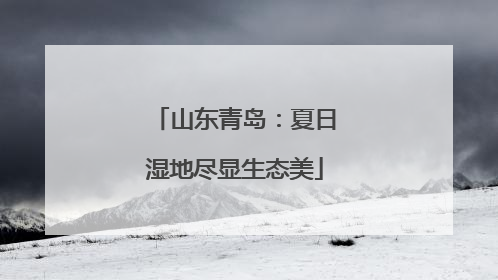 山东青岛：夏日湿地尽显生态美