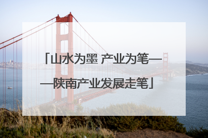 山水为墨 产业为笔——陕南产业发展走笔