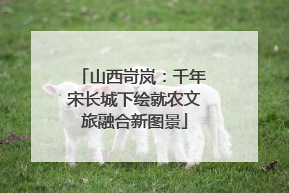 山西岢岚：千年宋长城下绘就农文旅融合新图景