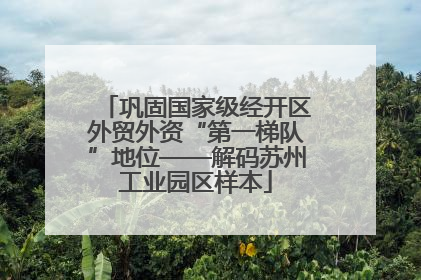 巩固国家级经开区外贸外资“第一梯队”地位——解码苏州工业园区样本