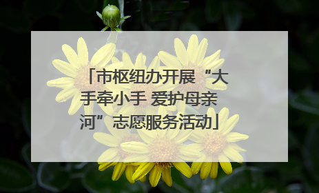 市枢纽办开展“大手牵小手 爱护母亲河”志愿服务活动