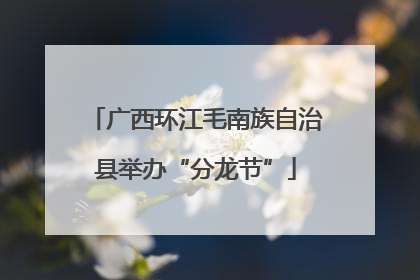 广西环江毛南族自治县举办“分龙节”