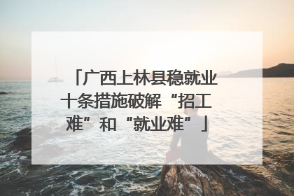广西上林县稳就业十条措施破解“招工难”和“就业难”